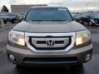 2011 Honda Pilot EXL