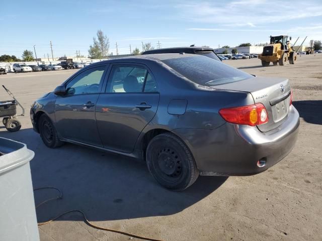 2010 Toyota Corolla Base