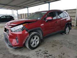 Salvage cars for sale at Anthony, TX auction: 2020 Toyota Rav4 XLE