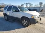 2005 Ford Escape XLT