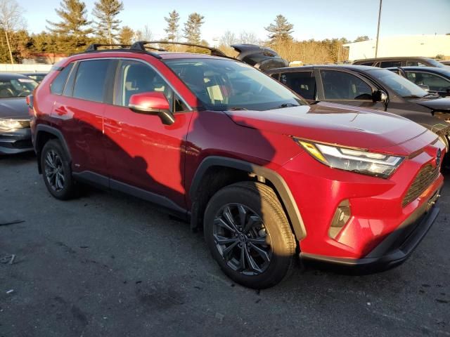 2023 Toyota Rav4 XLE Premium