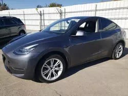 2021 Tesla Model Y en venta en Sun Valley, CA