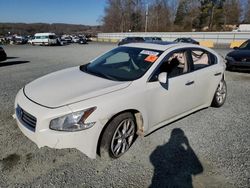 Nissan salvage cars for sale: 2013 Nissan Maxima S