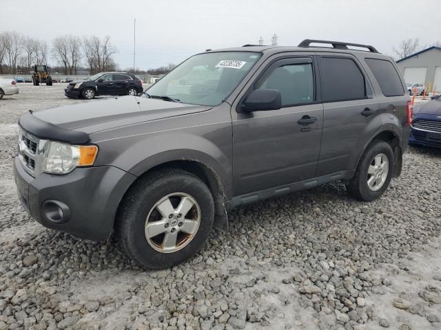 2012 Ford Escape XLT