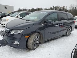 Vehiculos salvage en venta de Copart Ontario Auction, ON: 2019 Honda Odyssey EXL