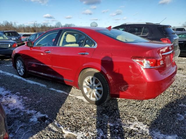 2011 Lexus ES 350