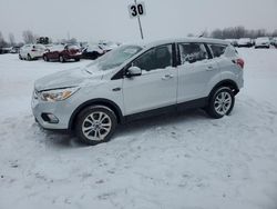 Ford Escape se salvage cars for sale: 2019 Ford Escape SE