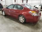 2010 Nissan Altima Base