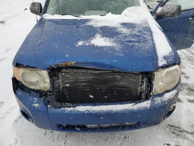 2008 Ford Escape XLT