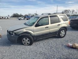 Carros salvage a la venta en subasta: 2003 Ford Escape XLT