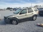 2003 Ford Escape XLT