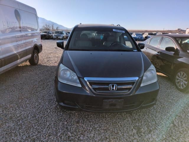 2005 Honda Odyssey EXL