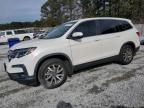 2019 Honda Pilot EXL