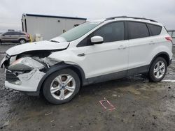 Ford Escape salvage cars for sale: 2013 Ford Escape SE