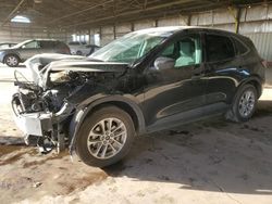 Salvage cars for sale at Phoenix, AZ auction: 2020 Ford Escape S