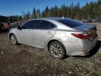 2013 Lexus ES 300H