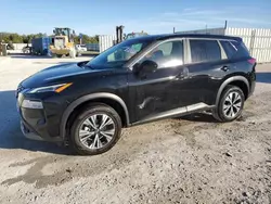 Salvage cars for sale at Arcadia, FL auction: 2023 Nissan Rogue SV