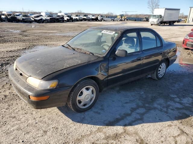 1995 Toyota Corolla