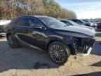 2024 Lexus RX 350 Base