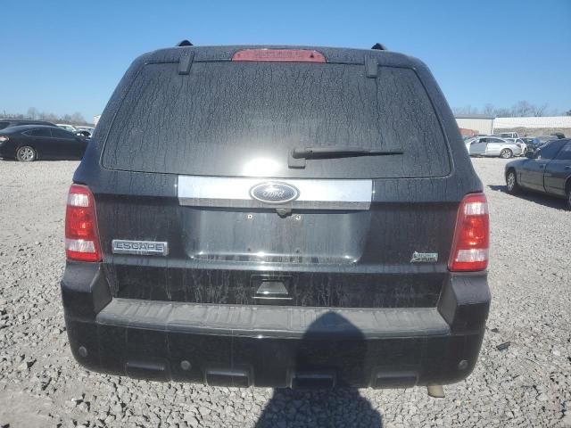 2010 Ford Escape Limited