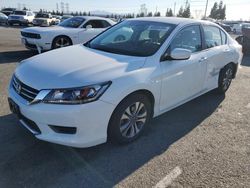 Honda salvage cars for sale: 2013 Honda Accord LX