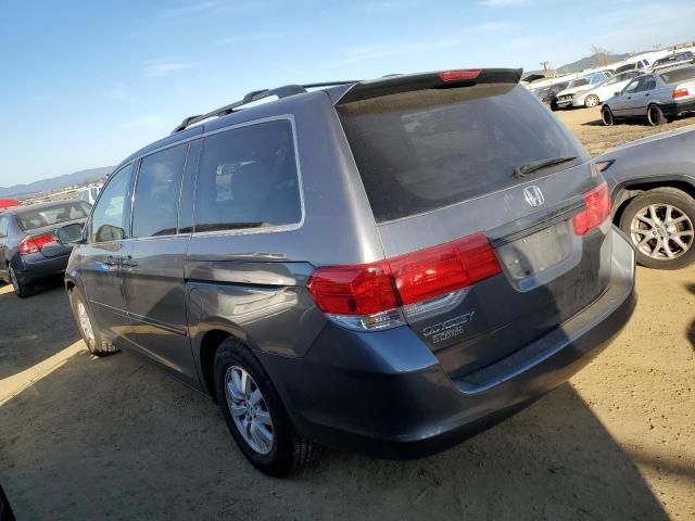 2010 Honda Odyssey EXL