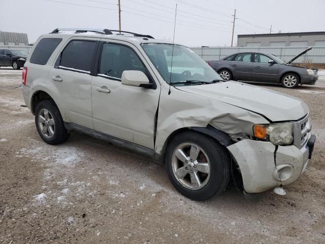 2009 Ford Escape Limited