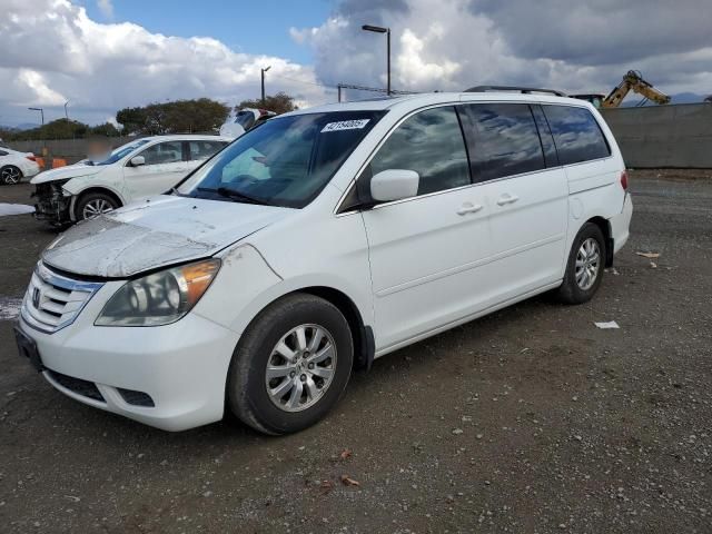 2008 Honda Odyssey EXL