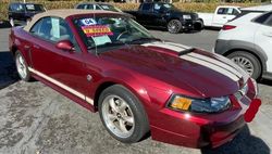 Salvage cars for sale at Rancho Cucamonga, CA auction: 2004 Ford Mustang GT