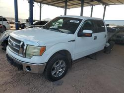 Salvage cars for sale at Phoenix, AZ auction: 2010 Ford F150 Supercrew