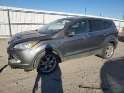 Ford Escape salvage cars for sale: 2013 Ford Escape SEL