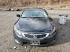 2010 Honda Accord EX