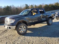 Salvage cars for sale at Gainesville, GA auction: 2014 Ford F150 Supercrew