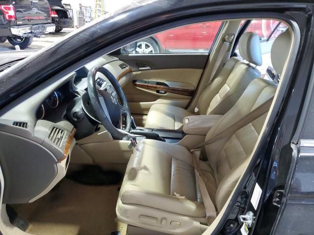 2008 Honda Accord EXL