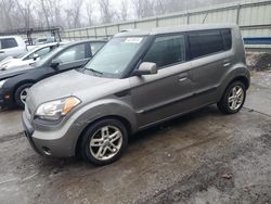 2010 KIA Soul + en venta en Ellwood City, PA