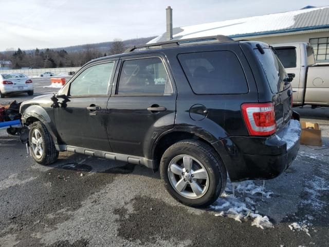 2012 Ford Escape XLT