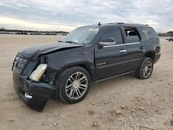 Salvage cars for sale at San Antonio, TX auction: 2013 Cadillac Escalade Premium