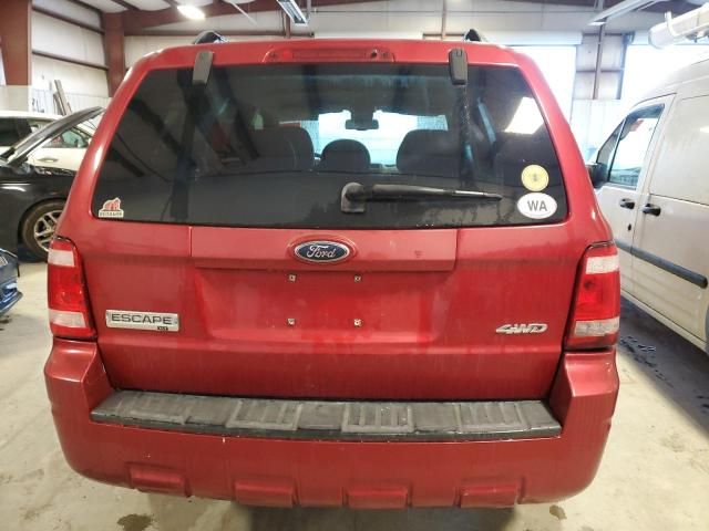 2008 Ford Escape XLT