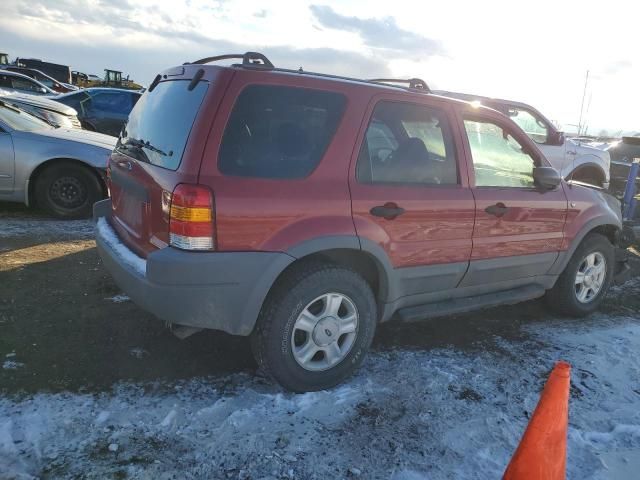 2001 Ford Escape XLT