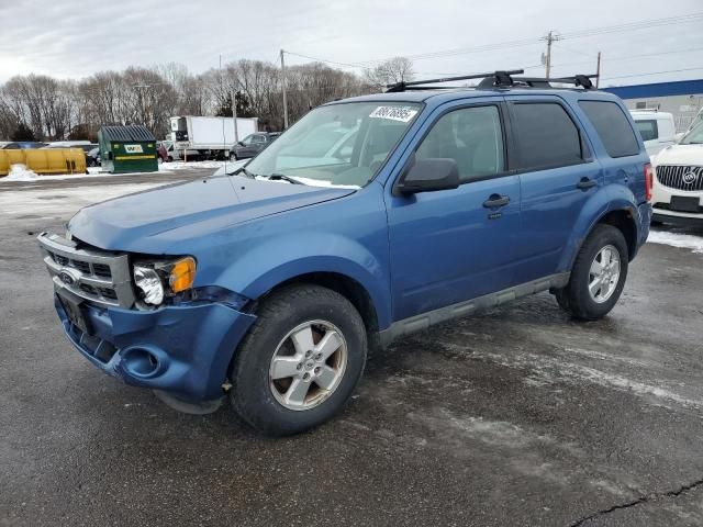 2010 Ford Escape XLT