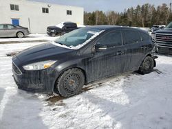 Salvage cars for sale at Cookstown, ON auction: 2015 Ford Focus SE