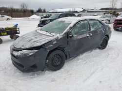 Salvage cars for sale at Columbia Station, OH auction: 2019 Toyota Corolla L