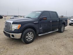 Salvage cars for sale at New Braunfels, TX auction: 2012 Ford F150 Supercrew