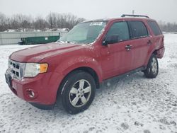 2011 Ford Escape XLT en venta en Barberton, OH