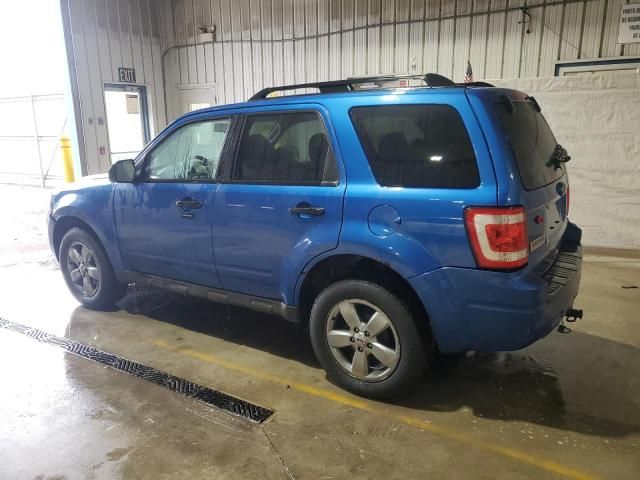 2011 Ford Escape XLT