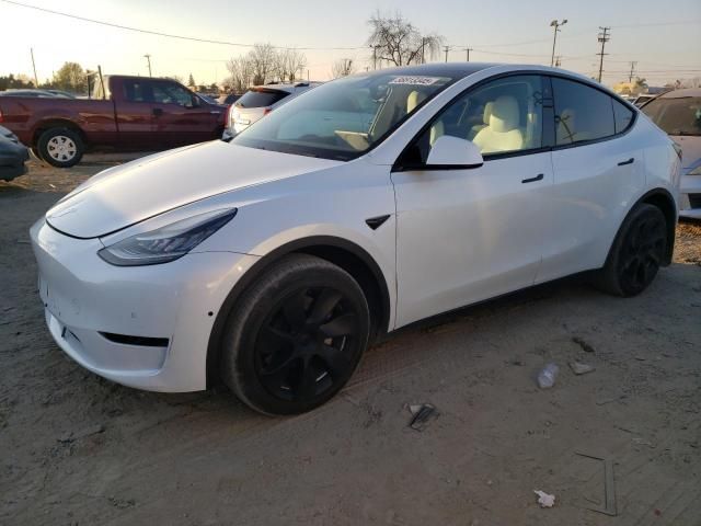 2020 Tesla Model Y