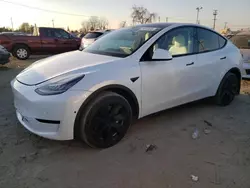 Tesla Model y Vehiculos salvage en venta: 2020 Tesla Model Y