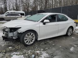 Vehiculos salvage en venta de Copart Waldorf, MD: 2024 Toyota Camry LE