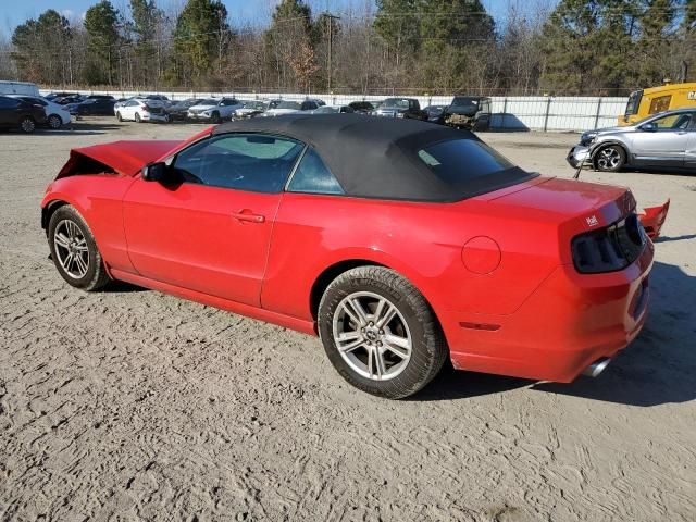 2013 Ford Mustang