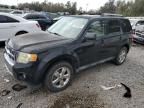 2010 Ford Escape Limited